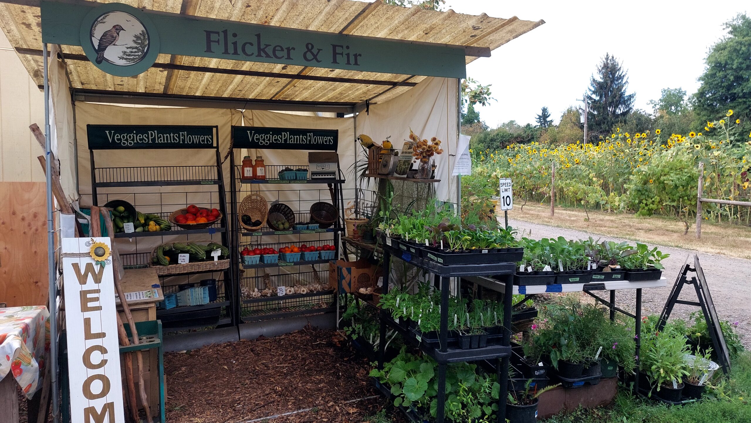 Flicker & Fir Farmstand